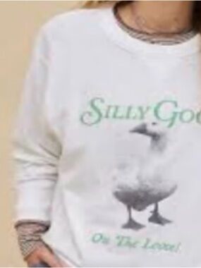aerie White Graphic Long Sleeve Crewneck with Seagull Print